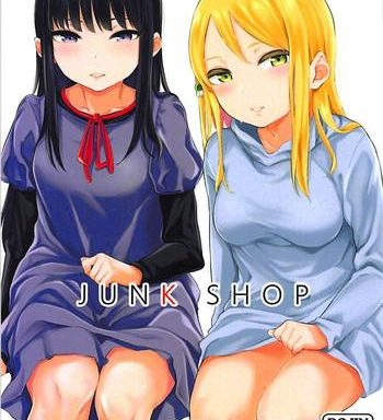 junk shop cover