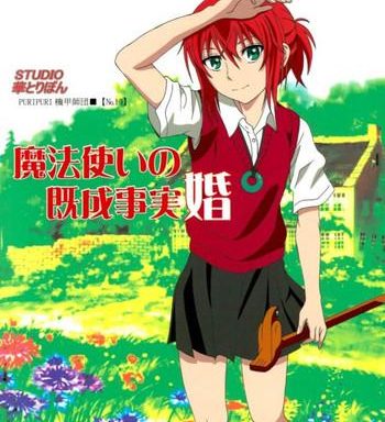 mahoutsukai no kisei jijitsukon cover