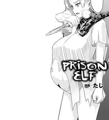 hitoya no elf prison elf cover