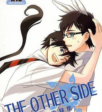 the other side cover