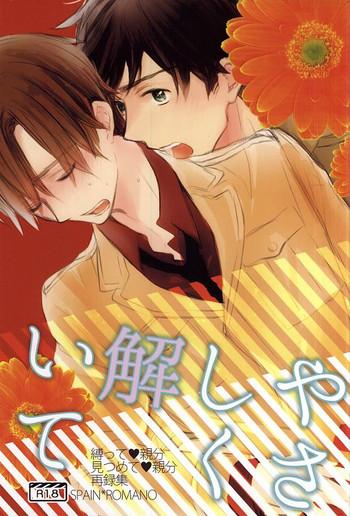 yasashiku hodoite cover