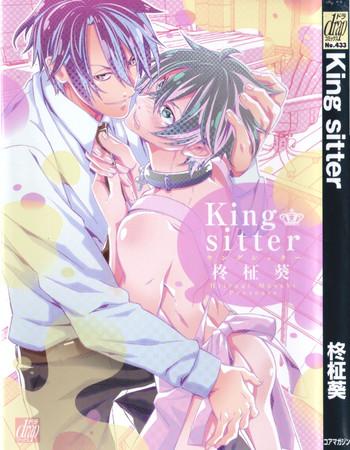king sitter cover