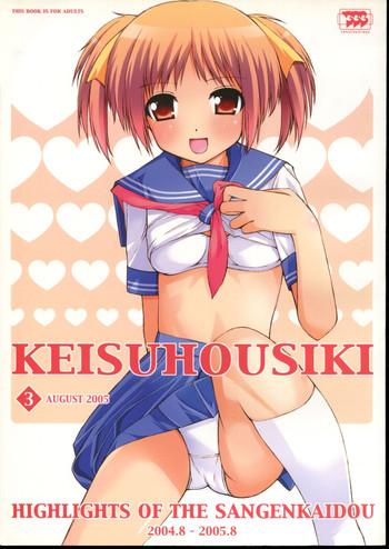 keisuhousiki 3 cover