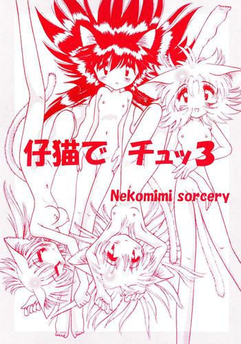 shi neko de chutsu 3 cover