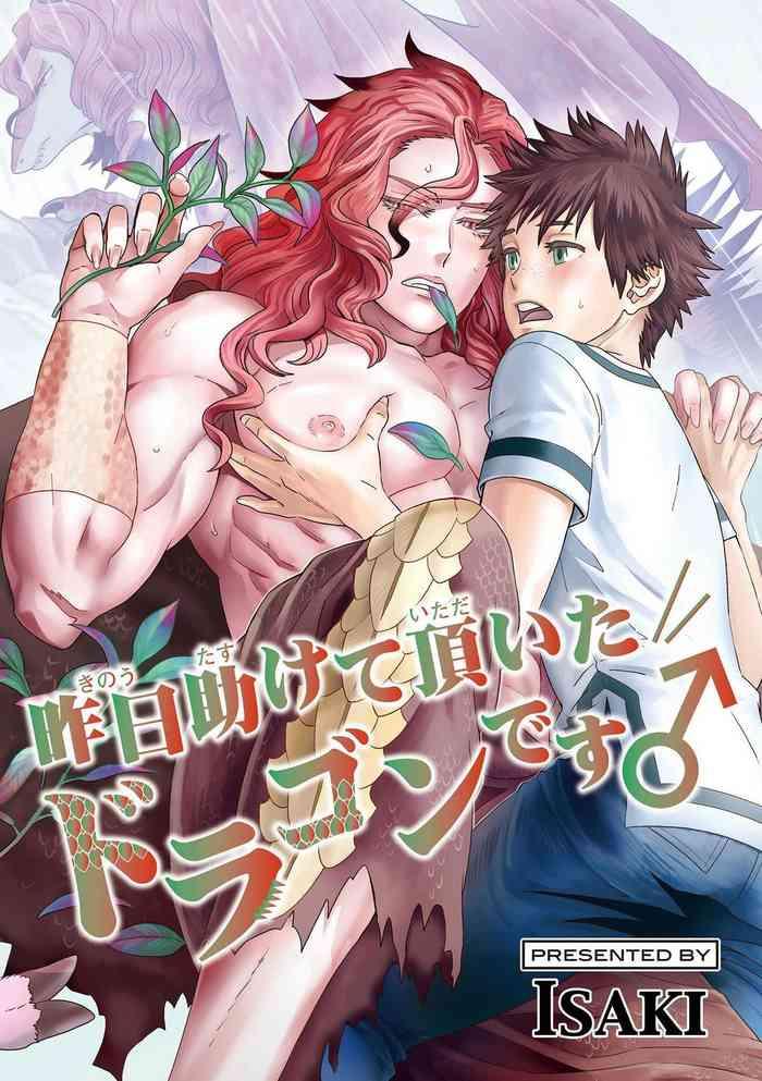 kinou tasukete itadaita dragon desu 1 4 cover