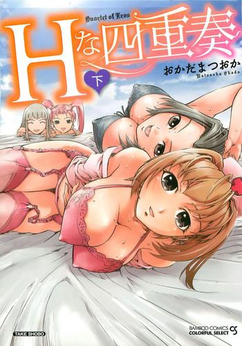 h na shijuusou vol 2 cover