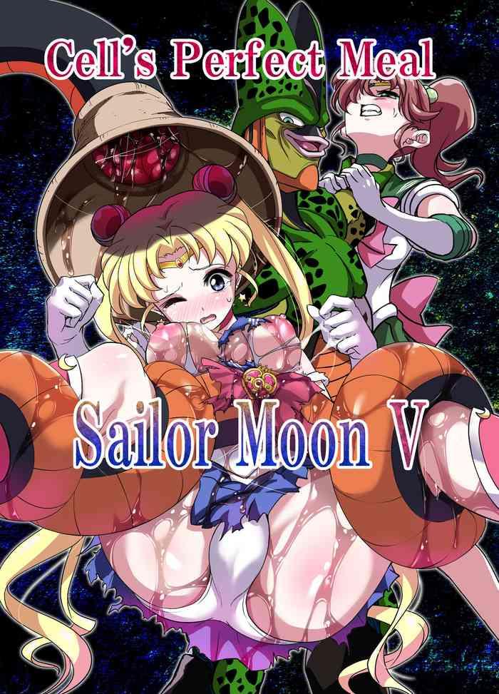 sailor moon v cover