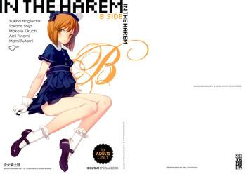 in the harem b side cover