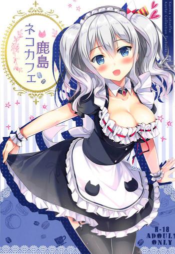 kashima neko cafe cover