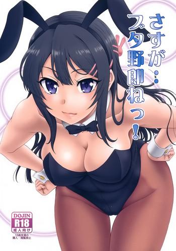 c95 oretachi misnon ikka suhara shiina sasuga buta yarou ne gyokusai kakugo na omake bon cm95 seishun buta yarou wa bunny girl senpai no yume o minai chinese cover